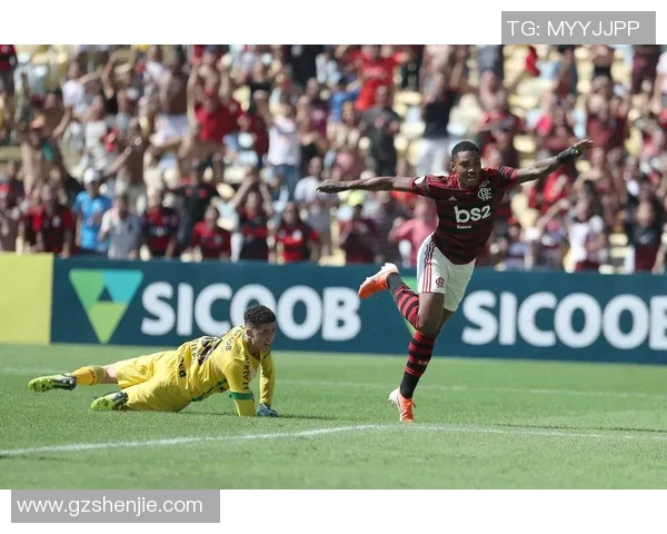 沙佩科恩斯足球传奇：不屈不挠的星光照亮永恒记忆