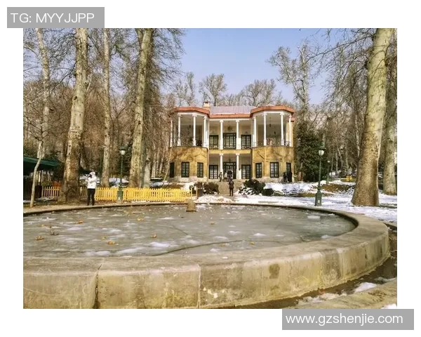 纵览波斯足坛璀璨群星评点历代伊朗足球巨星排名榜