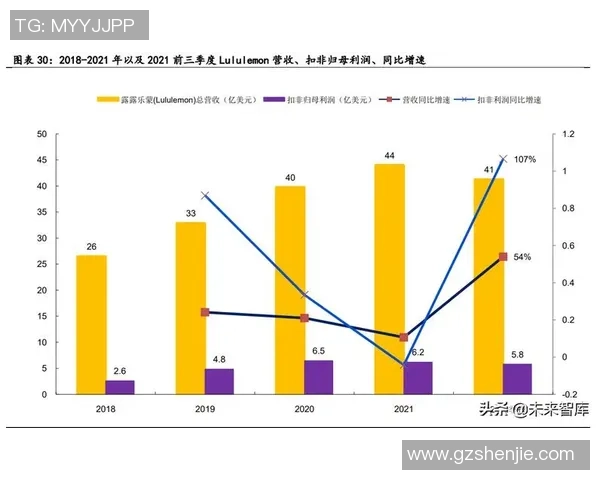 足球球星高额收入与税收政策对体育产业公平发展的深远影响分析